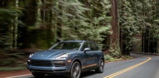 March 2019 Porsche USA sales March 2019 Porsche USA sales: A blue 2019 Cayenne E3 is seen driving on a winding road through a dense forest of redwoods. Credit: Porsche AG