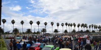 Luftgekühlt creators unveil venue for Air | Water Luftgekuhlt unveils AirWater venue - depicted here at Luft San Pedro are 911s seen from behind with palms in b.g. Credit: StuttgartDNA